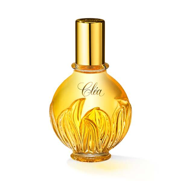 Edt Cléa