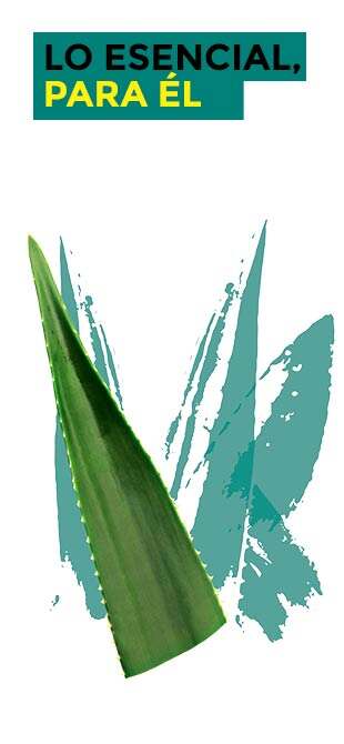 Bálsamo After Shave